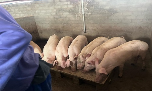 Agriculture L4